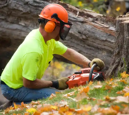 tree services Bernice